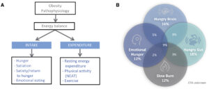 obesity phenotype graphic description